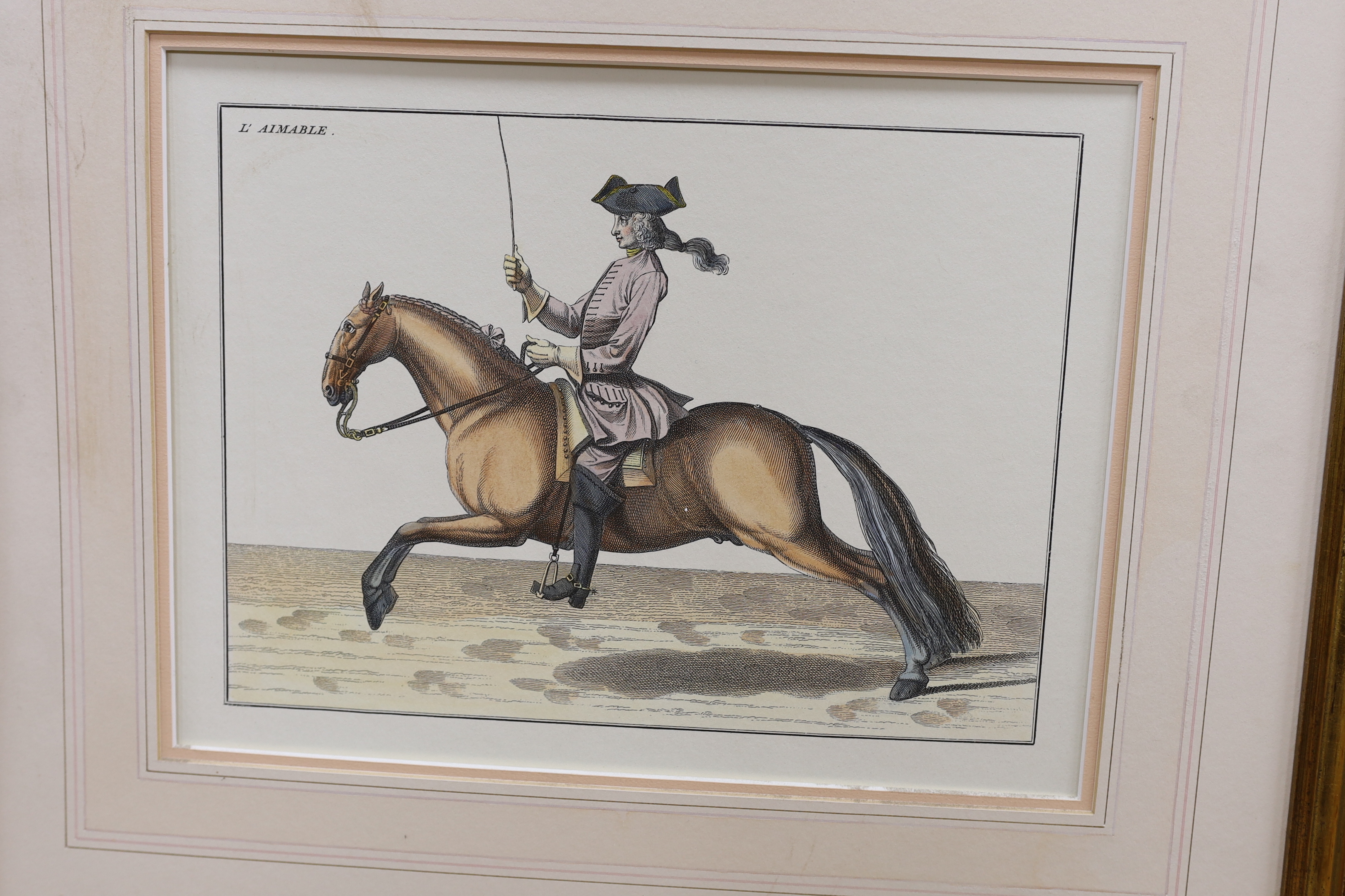 After Baron Eisenberg (German, 1695-1770), set of six coloured equestrian engravings, including Le Sage, Le Rubis and Le Modeste, each 25 x 32cm